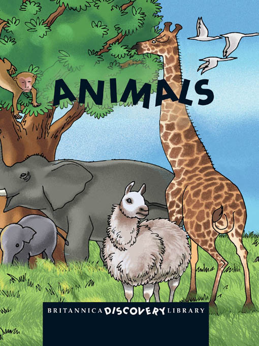 Click image to view full cover